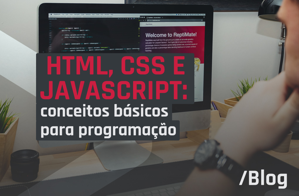 Guia sobre HTML, CSS e Javascript: como entender o básico da programação